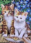 Роспись по холсту «Котята» (30 х 40 см)