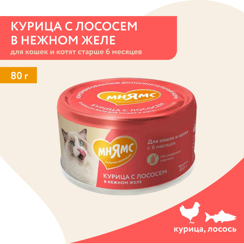 Корм влажный дополнительный для кошек «Курица с лососем в нежном желе» | Мнямс