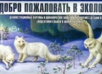 Добро пожаловать в экологию!: Демонстрационные картины и динамические модели для занятий с детьми 6-7 лет