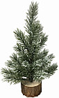 Ель декоративная