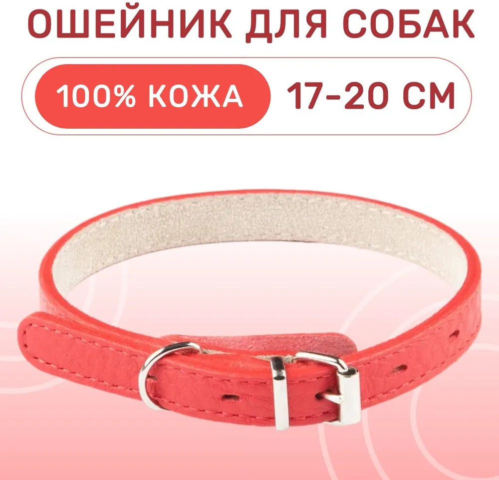 Ошейник для собак | Mr.Kranch