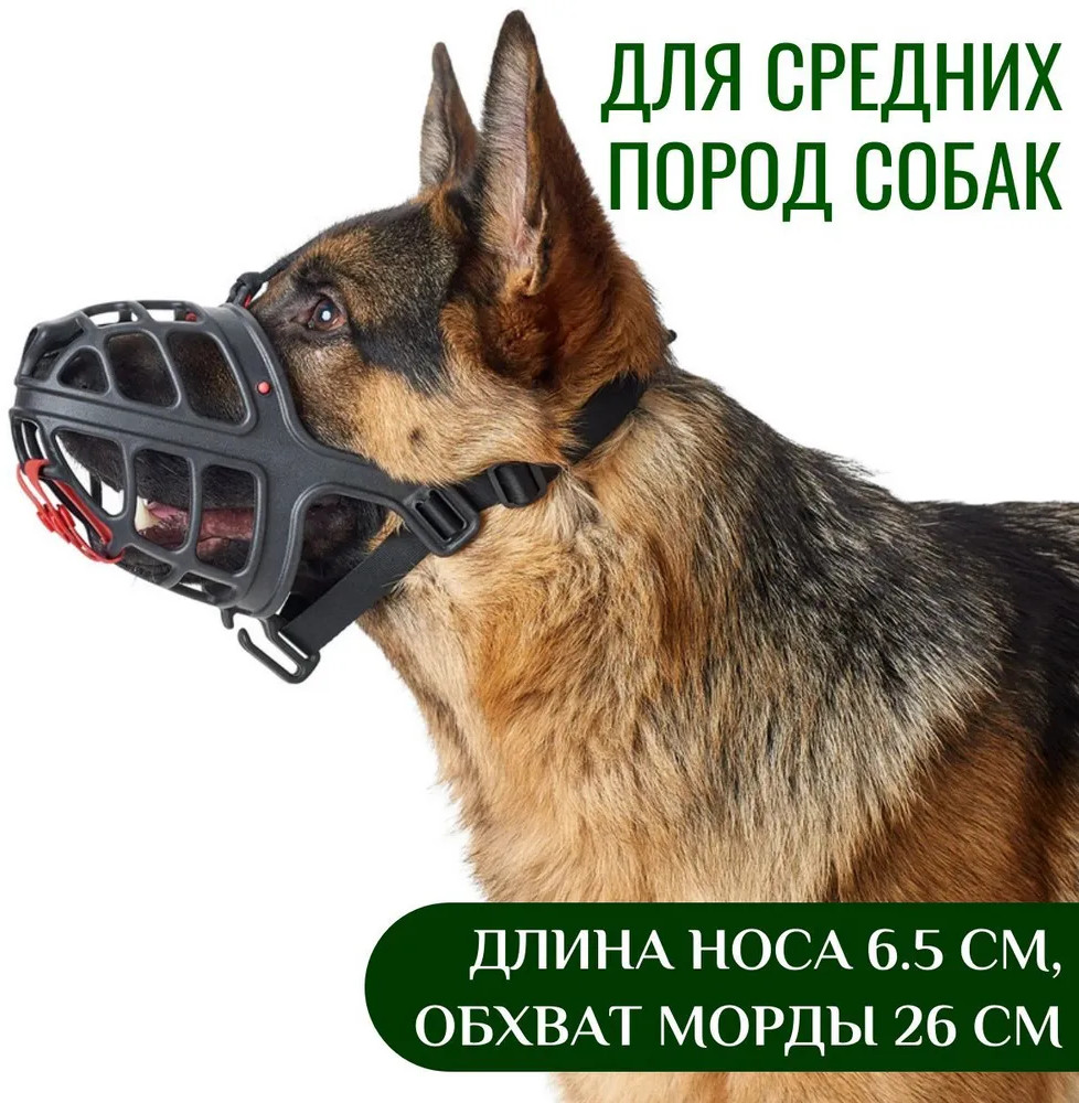 Намордник для собак «Albury» | Hunter