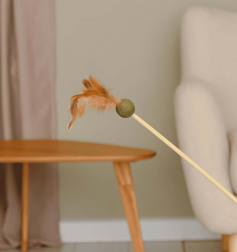 Игрушка-дразнилка для кошек с шариком кошачьей мяты | Petshop