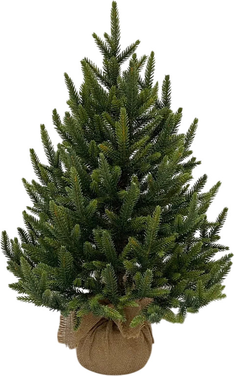 Ель искусственная в мешочке «Кремлевская» | TreeDeLuxe
