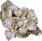 шампань шампань