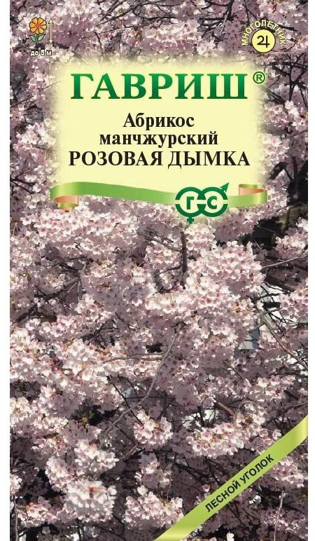 Семена «Абрикос манчжурский Розовая дымка. Prunus mandschurica» | Лесной уголок | Гавриш