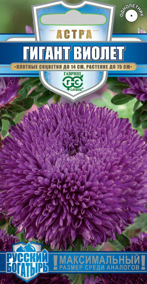 Семена «Астра Гигант виолет» | Русский богатырь | Гавриш