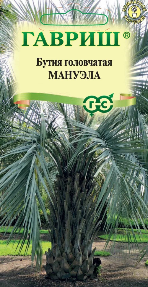 Семена «Бутия головчатая Мануэла» | Цветочная коллекция | Гавриш
