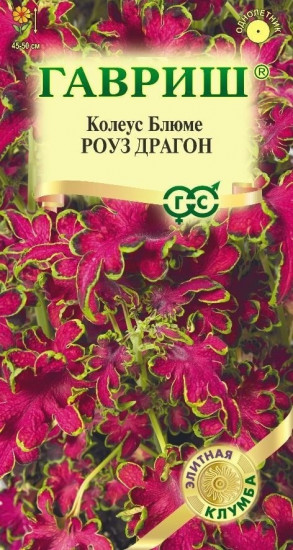 Семена «Колеус Роуз Драгон. Coleus blumei Benth»