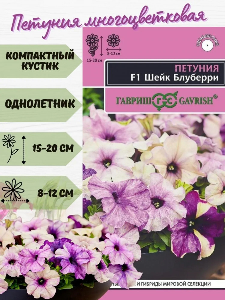 Семена «Петуния Шейк Блуберри F1» | Элитная клумба | Гавриш
