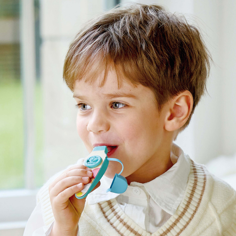 Музыкальная игрушка «Волшебный звук» | Hape