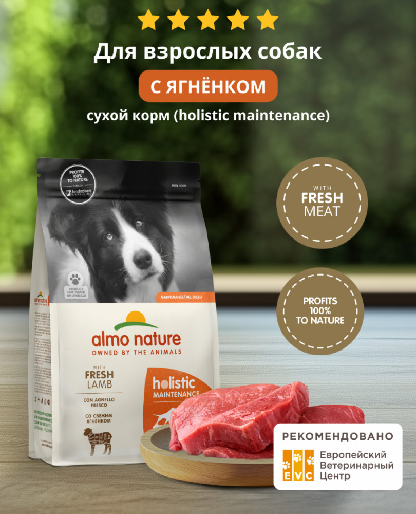 Корм сухой для взрослых собак со свежим ягненком и коричневым рисом «Fresh Lamb» | Holistic | Almo Nature