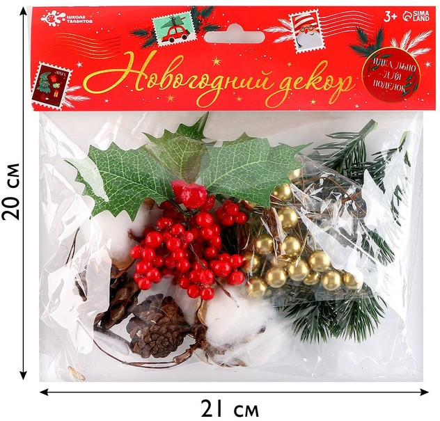 Набор для творчества «Материалы для зимних поделок. Шишки, веточки» | Школа талантов