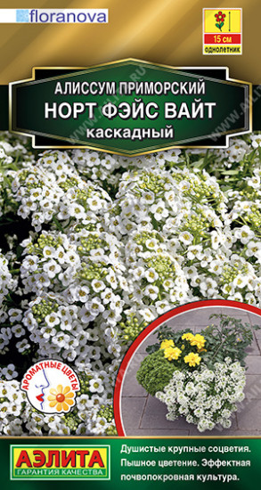Семена алиссума «Норт фэйс вайт каскадный»