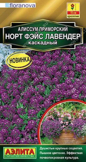Семена алиссума «Норт фэйс лавендер каскадный»