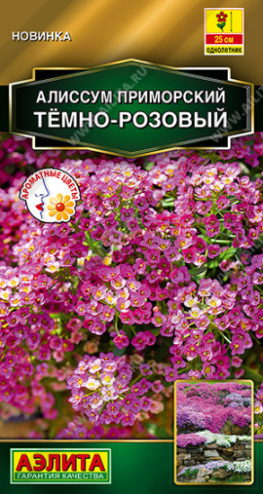 Семена алиссума приморского «Тёмно-розовый»