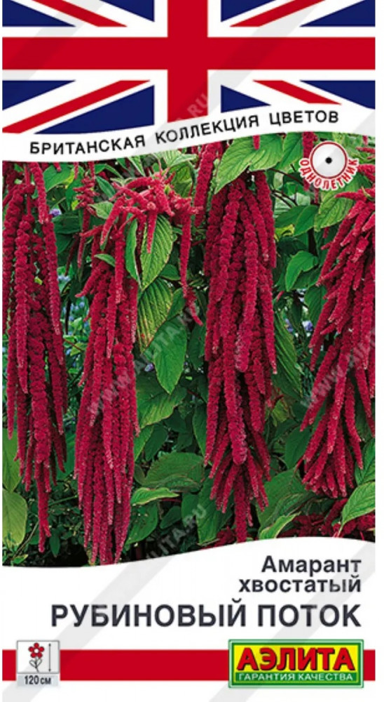 Амарант хвостатый «Рубиновый поток» | Британская коллекция цветов | Аэлита