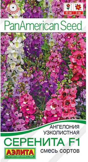 Ангелония узколистная, смесь сортов «Серенита F1»