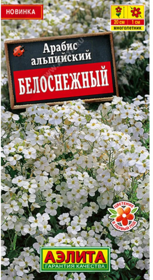 Арабис альпийский «Белоснежный»