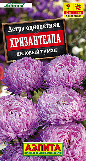 Семена астры «Хризантелла лиловый туман» | Аэлита
