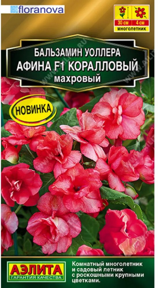 Бальзамин Уоллера «Афина F1 коралловый махровый» | Floranova | Аэлита