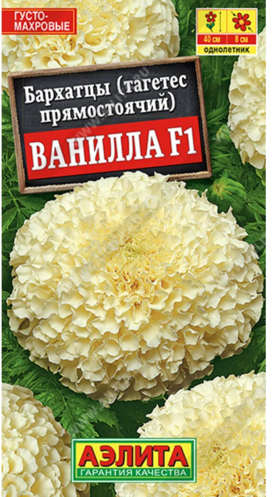 Семена бархатцев прямостоячих «Ванилла F1» | Аэлита