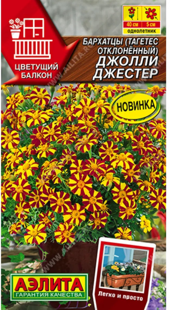 Бархатцы отклоненные «Джолли Джестер» | Цветущий балкон | Аэлита