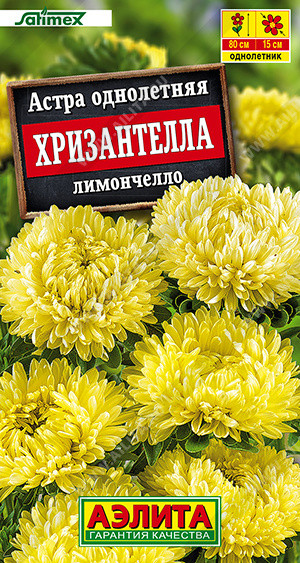 Семена астры «Хризантелла лимончелло» | Аэлита