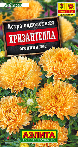 Семена астры «Хризантелла осенний лес» | Аэлита