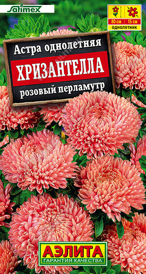 Семена астры «Хризантелла розовый перламутр» | Аэлита