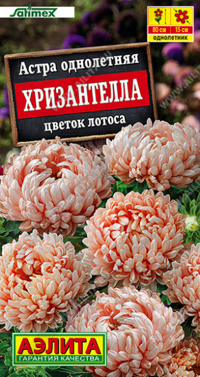Семена астры «Хризантелла цветок лотоса»