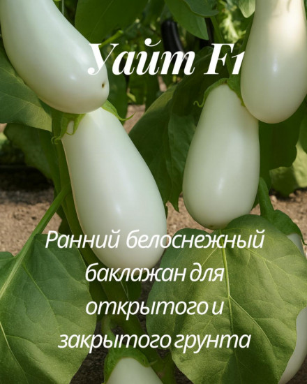 Семена гибридного баклажана «Уайт F1»