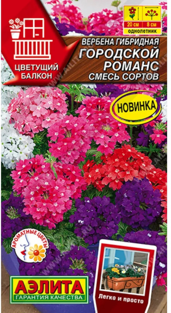 Вербена гибридная, смесь сортов «Городской романс» | Цветущий балкон | Аэлита