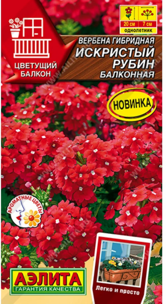 Вербена балконная «Искристый рубин» | Цветущий балкон | Аэлита