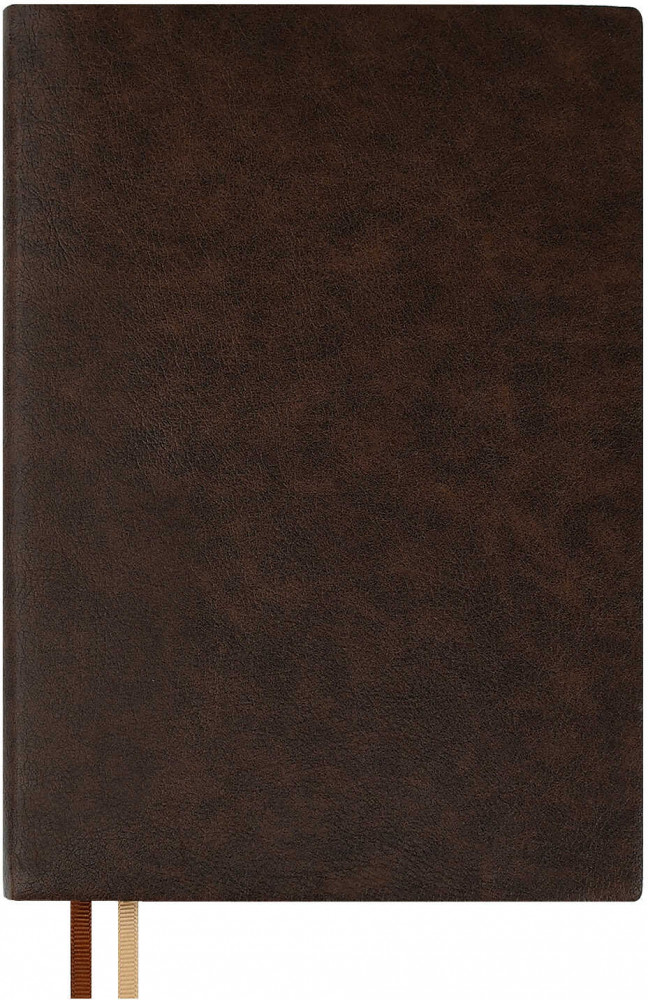 Ежедневник датированный на 2026 год | Escalada