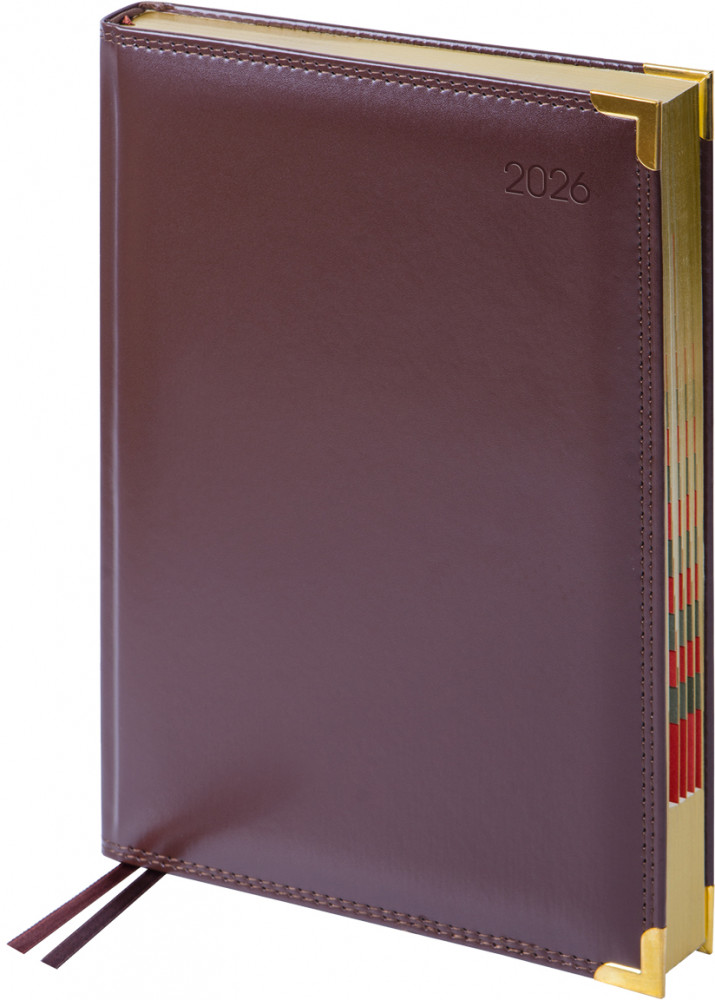 Ежедневник датированный на 2026 год | Delucci