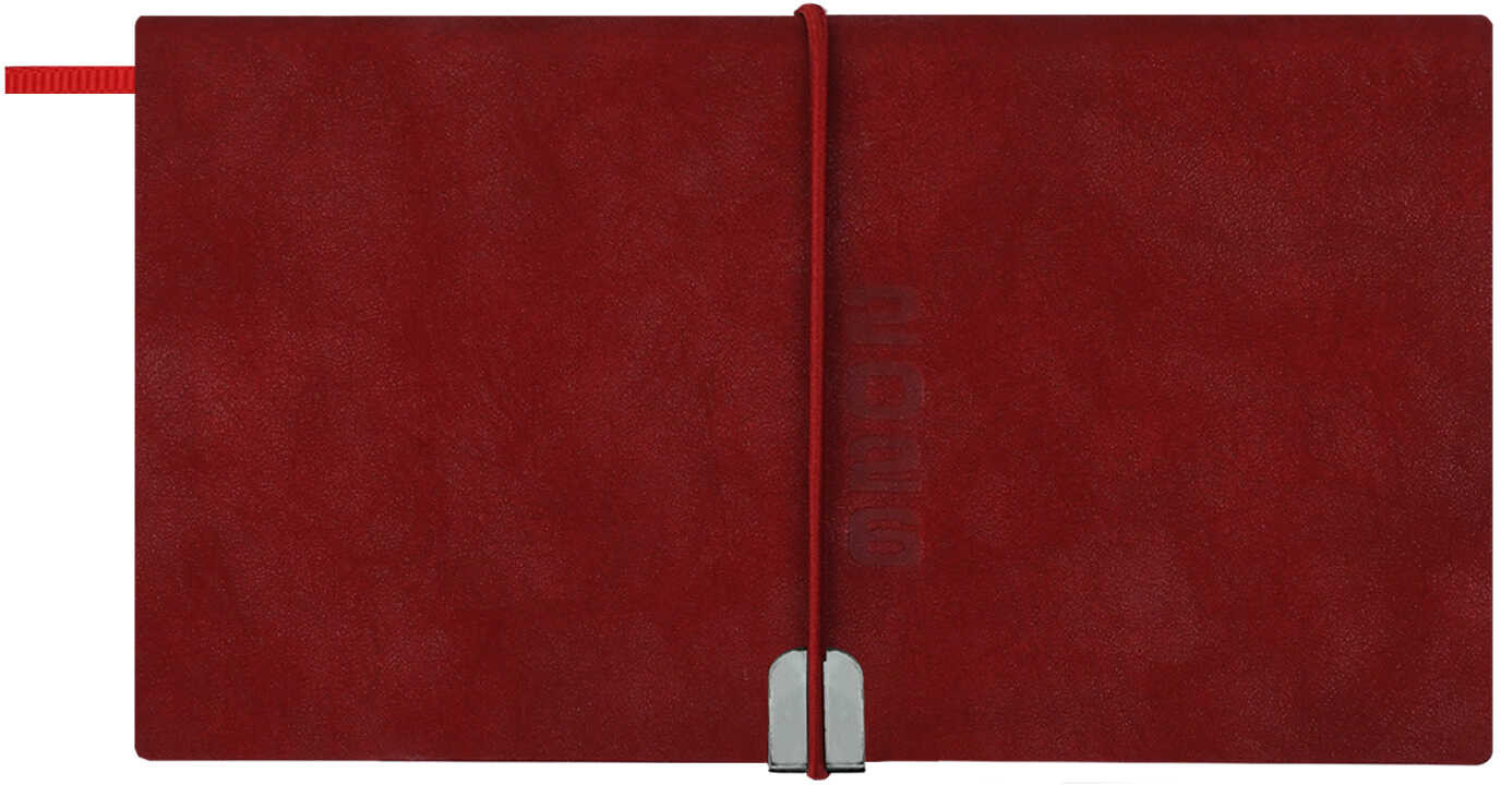 Ежедневник датированный на 2026 год | Escalada