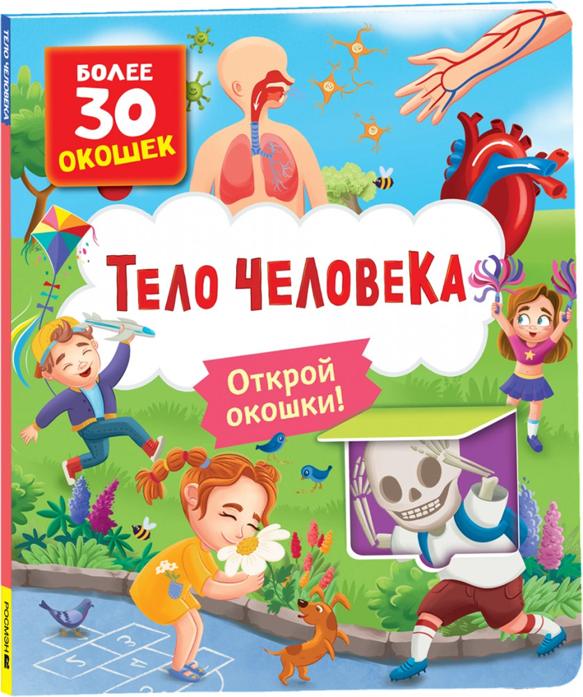 Книги с окошками. Тело человека | Книги с окошками