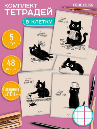 Комплект тетрадей «Послушный чёрный кот»