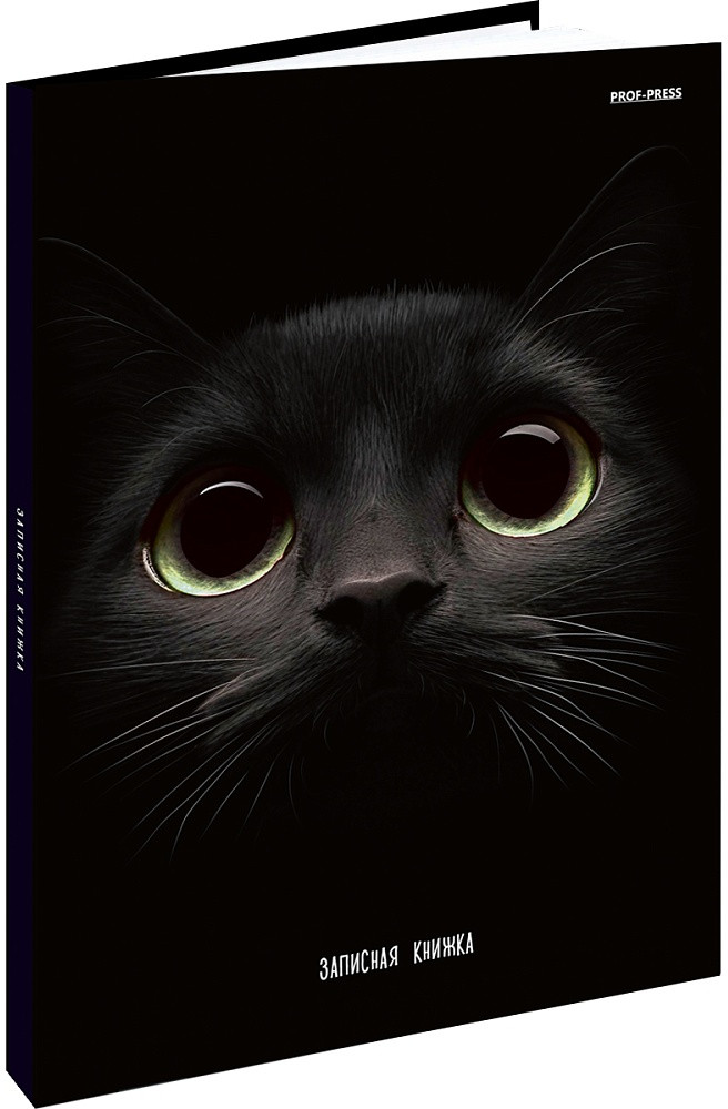 Книжка записная «Взгляд кота» | Проф-Пресс