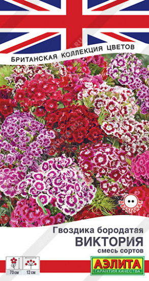 Семена гвоздики, смесь сортов «Виктория»