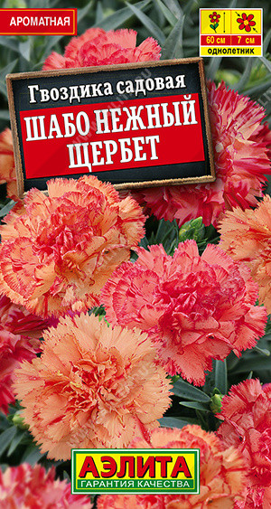 Семена гвоздики садовой «Шабо Нежный щербет» | Аэлита