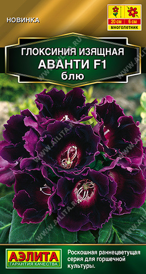 Семена глоксинии «Аванти F1 блю» | Золотая серия | Аэлита