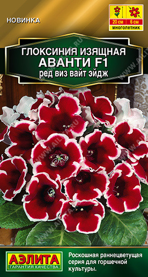 Семена глоксинии «Аванти F1 ред виз вайт эйдж» | Золотая серия | Аэлита