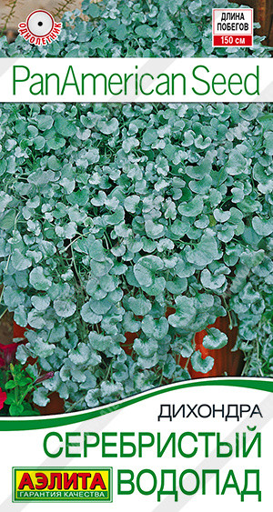 Семена дихондры «Серебристый водопад» | PanAmerican Seed | Аэлита