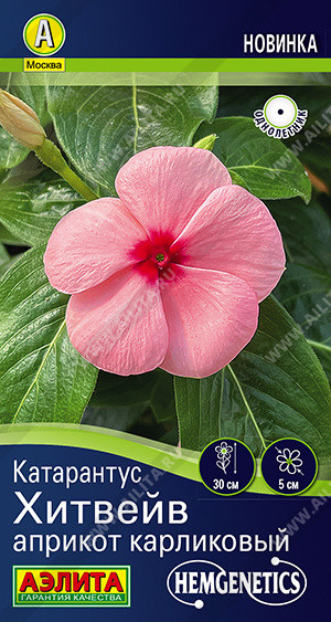 Семена катарантуса «Хитвейв априкот карликовый» | Hem Genetics | Аэлита