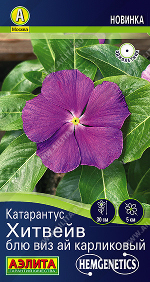 Семена катарантуса «Хитвейв блю виз ай карликовый» | Hem Genetics | Аэлита