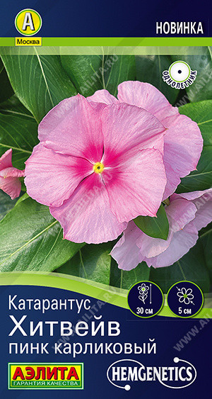 Семена катарантуса «Хитвейв пинк карликовый» | Hem Genetics | Аэлита