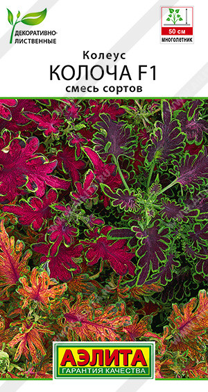 Семена колеуса, смесь сортов «Колоча F1» | Аэлита