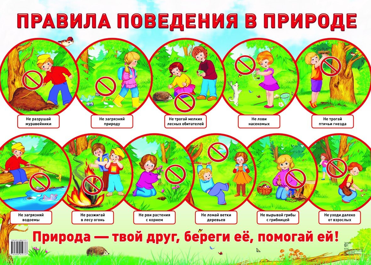 Демонстрационный плакат. Правила поведения в природе | Познавательные плакаты